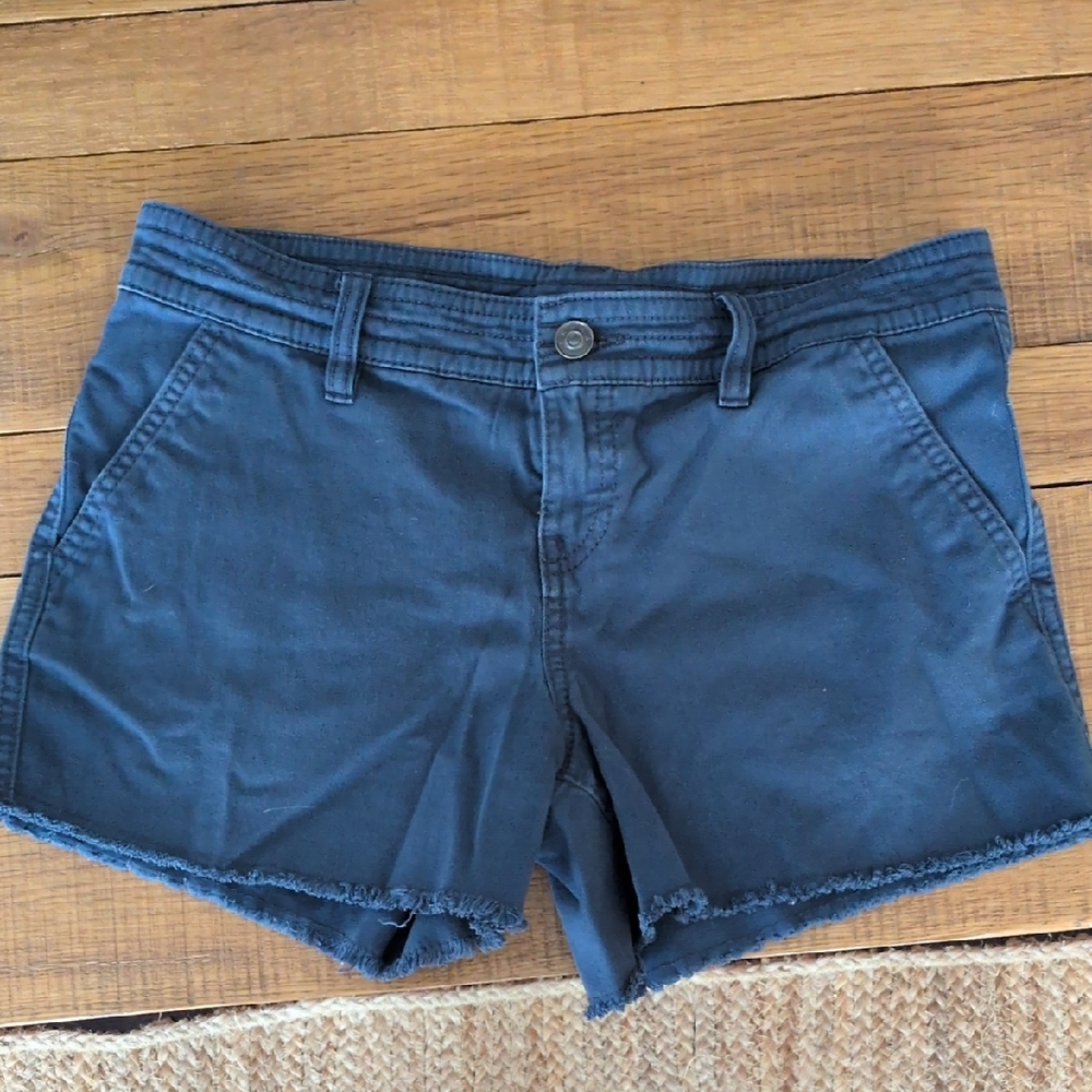 Women's Prana Navy Blue Casual Shorts Sancho